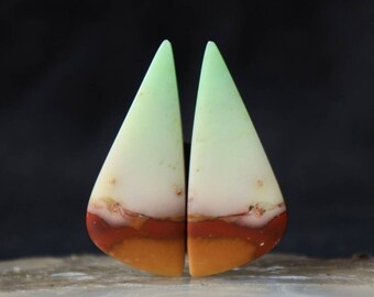 Par de pedras de madeira petrificada opalizada azul, Indonésia