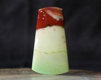 Pedra de madeira petrificada opalizada da Indonésia, padrão único.