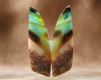 Par de gemas de madeira opalizada azul