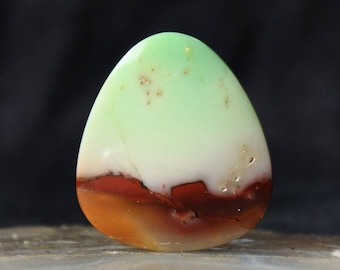 Pedra de madeira petrificada opalizada: Azul indonésio, padrão único