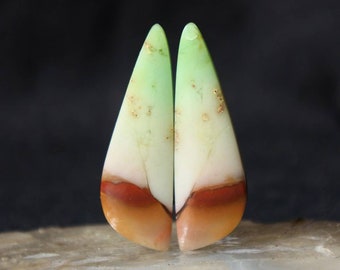 Pares de cabochões de pedra de madeira petrificada opalizada azul, com padrões indonésios.