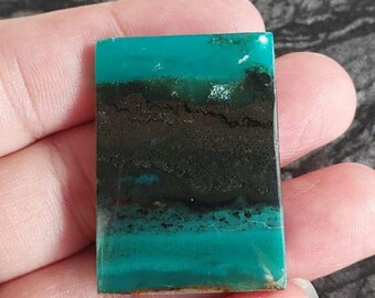 Natural Blueopalizedwood cabochone