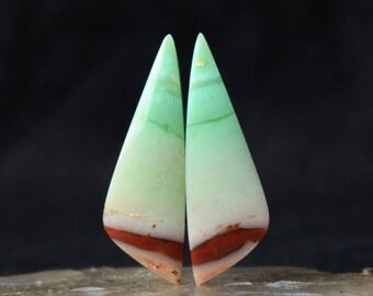 Par de madeiras petrificadas opalizadas azuis, Indonésia