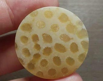 Ágata coral natural da Indonésia cabochone.tamanho.32.32.4 mm. Peso.8.03 grm