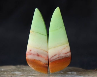 Pares de madeira petrificada opalizada azul, pedras preciosas indonésias