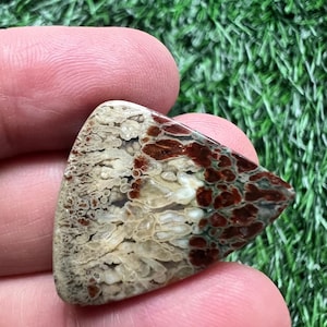 Puede incluir: Una gema pulida de forma triangular con un patr&oacute;n &uacute;nico. La piedra presenta una mezcla de colores, incluyendo beige, marr&oacute;n y marr&oacute;n rojizo, con una apariencia texturizada y moteada. La gema se sostiene entre los dedos sobre un fondo verde.