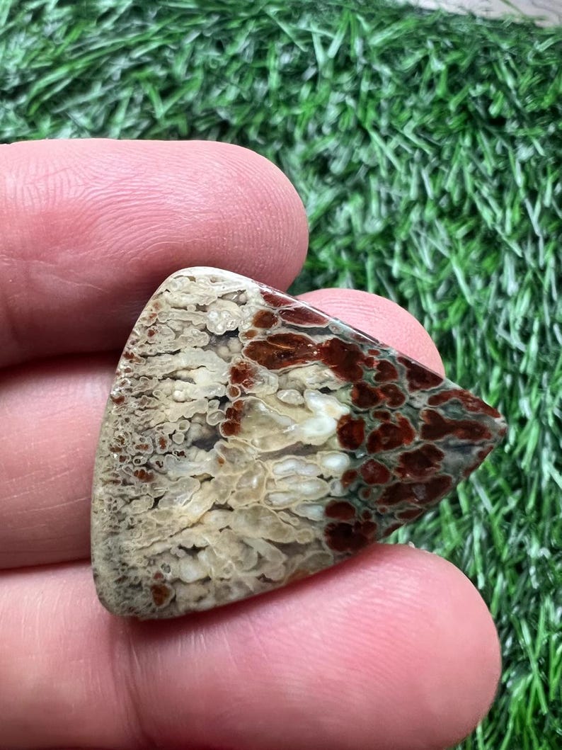 Puede incluir: Una gema pulida de forma triangular con un patr&oacute;n &uacute;nico. La piedra presenta una mezcla de colores, incluyendo beige, marr&oacute;n y marr&oacute;n rojizo, con una apariencia texturizada y moteada. La gema se sostiene entre los dedos sobre un fondo verde.