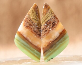 Blue Opalized Wood Cabochon Pair (28x13mm)