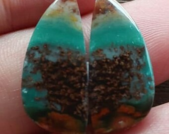 Par de raízes Cooper Arrow de Blueopalizedwood natural