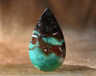 Pedra de madeira petrificada opalizada: Gema indonésia com padrão azul