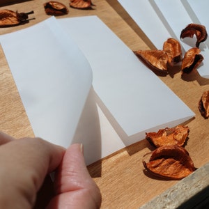 May include: Two sheets of white translucent paper are folded in half and placed on a wooden surface. The paper is slightly translucent, allowing the wood grain to show through. Dried flower petals are scattered around the paper.