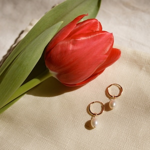 Dainty Pearl Hoop Earrings Gold Silver Options Gift for Her Silver Pearl Hoops Huggie Hoops Non-Rust Non-Tarnish Jewelry image 1