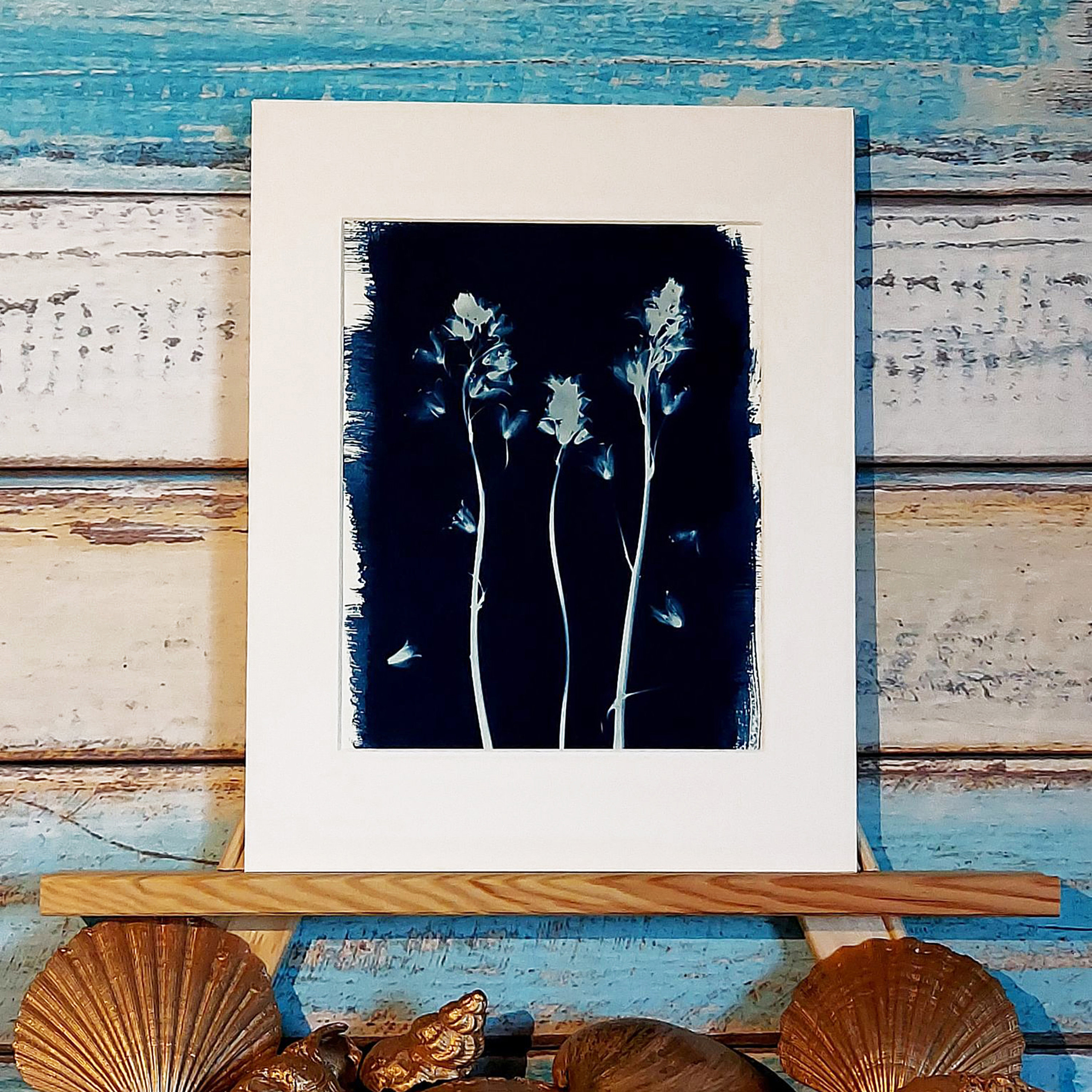 10x12 inch Mount Original Botanical Art Cyanotype Print Of Bluebells Hyacinthoides A5 Print