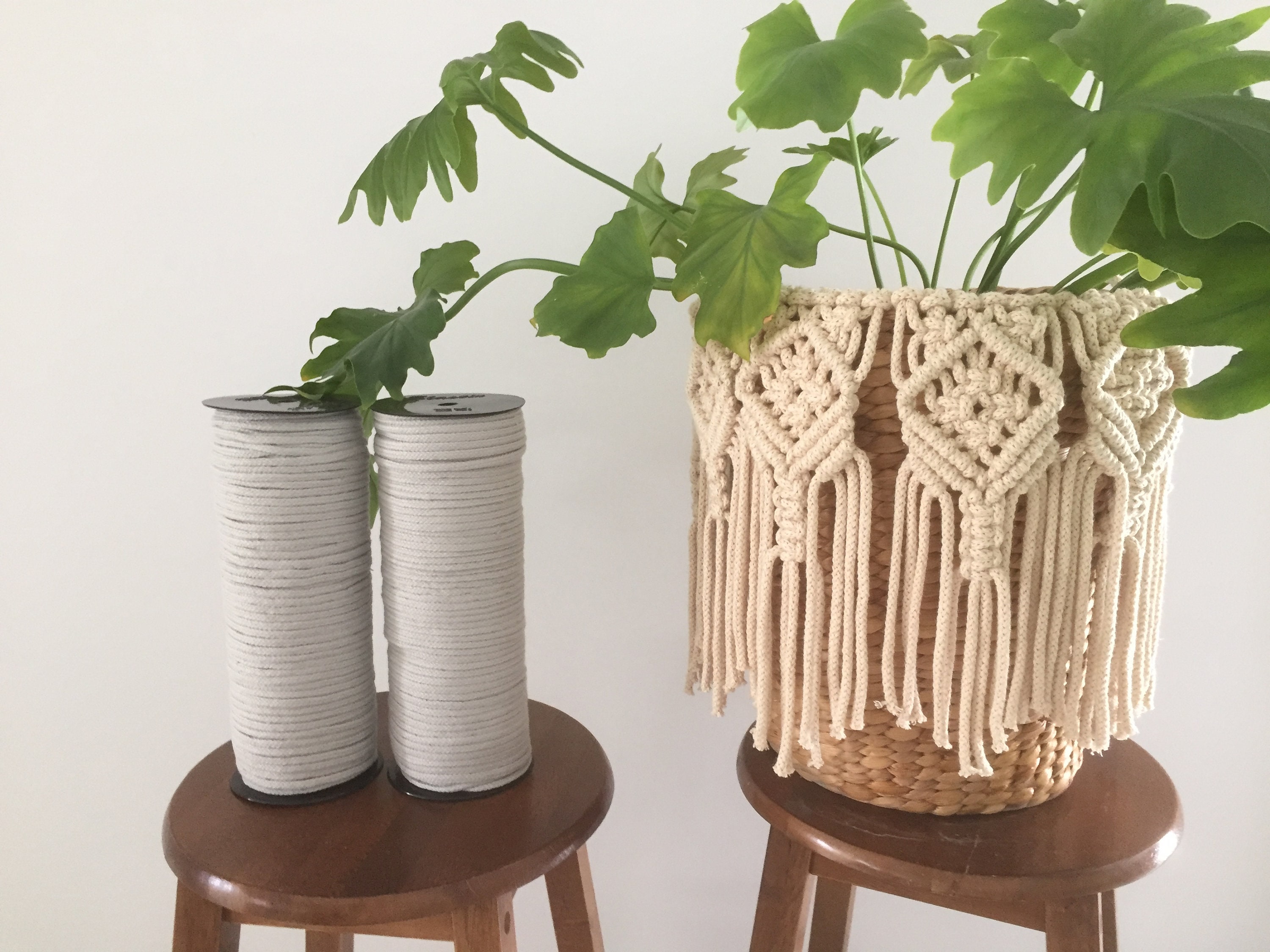 Macrame Cord 5mm /200M Coloured Braided Rope Bulk Buy Supplies Craft