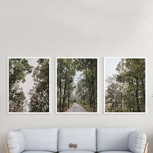 Digitales Aquarell Wald 3er Set Printables | Natur Digitaldruck, Walddruck, Landschaftskunst, Grüner Druck, Nebelbäume druckbare Kunst