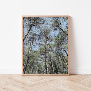Digitales Aquarell Wald Druckbare | Natur Digitaldruck, Wald Druck, Landschaftskunst, Grüner Druck, Nebel bäume druckbare Wandkunst Dekor