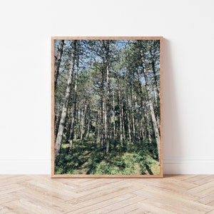 Digitales Aquarell Wald Druckbare | Natur Digitaldruck, Wald Druck, Landschaftskunst, Grüner Druck, Nebel bäume druckbare Wandkunst Dekor