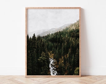 Nature Photography Nature Prints Printable Wall Art Digital Download Nature Photography Home Decor Pine Needles and Rock