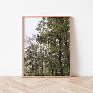 Digitales Aquarell Wald Druckbare | Natur Digitaldruck, Wald Druck, Landschaftskunst, Grüner Druck, Nebel bäume druckbare Wandkunst Dekor