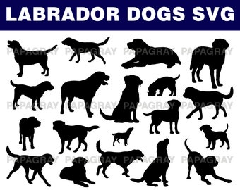 Download Labrador Svg Etsy