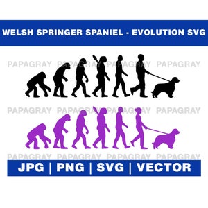 Welsh Springer Spaniel Evolution SVG Graphic (Digital Download)