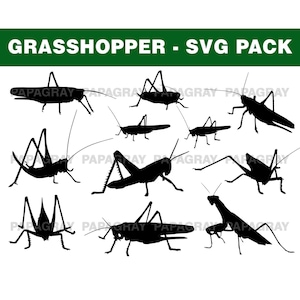 Paquete de silueta de saltamontes, 11 diseños, Descarga digital, SVG de saltamontes, PNG de saltamontes, Vector de saltamontes, Archivo de corte de saltamontes