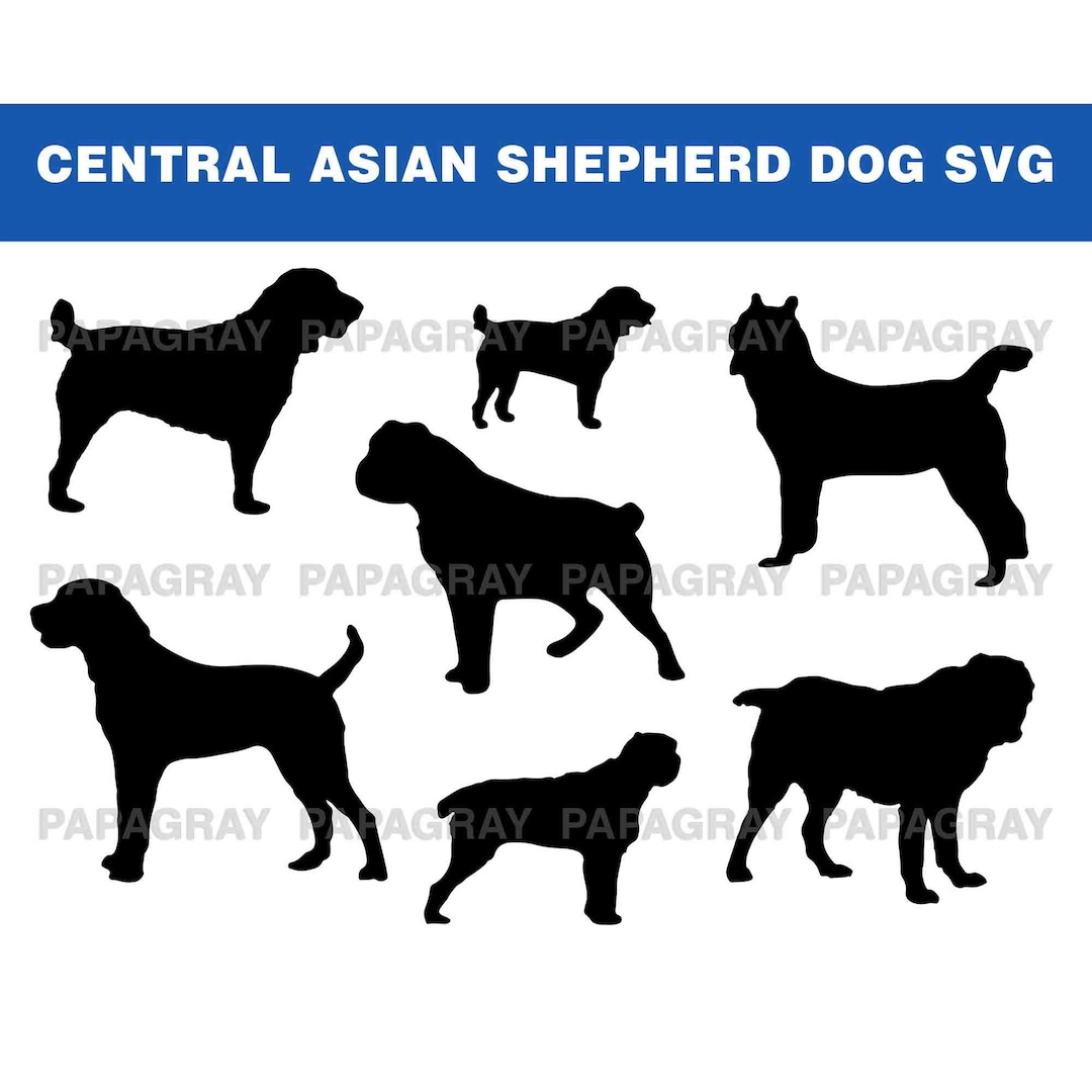 Central asian hotsell shepherd uk