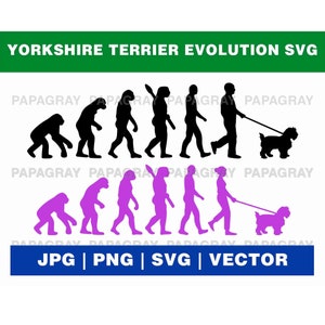 Yorkshire Terrier Evolution Graphic: SVG, PNG, Vector (Digital Download)