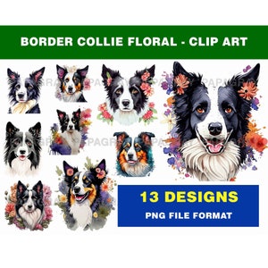 Bloemenclipartpakket border collie-hond - 13 ontwerpen | Digitale download | Clipart collie hond, collie hond png, transparante achtergrond