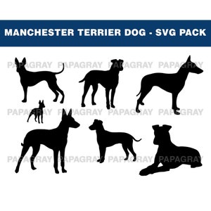 Manchester Terrier Dog Silhouette Pack - 8 Designs | Digital Download | Manchester Terrier SVG, Manchester Terrier Dog PNG, Dog Vector