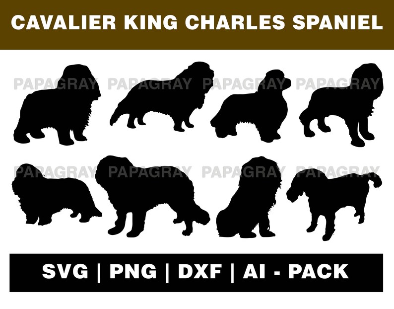 Free Free King Charles Spaniel Svg 190 SVG PNG EPS DXF File