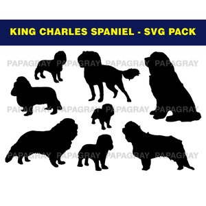 King Charles Spaniel Dog Silhouette Pack - 8 Designs | Digital Download | King Charles Spaniel SVG, King Charles Spaniel Dog PNG, Dog Vector