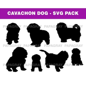 Cavachon Dog Silhouette Pack - 7 Designs | Digital Download | Cavachon SVG, Cavachon Dog PNG, Cavachon Dog Graphics, Cavachon Dog Shape