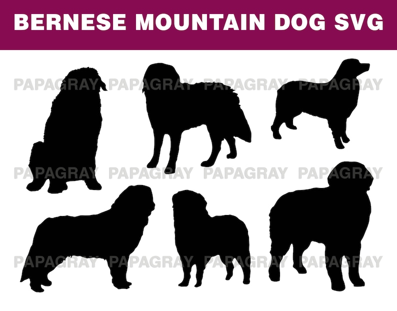 Free Free 111 Bernese Mountain Dog Svg SVG PNG EPS DXF File