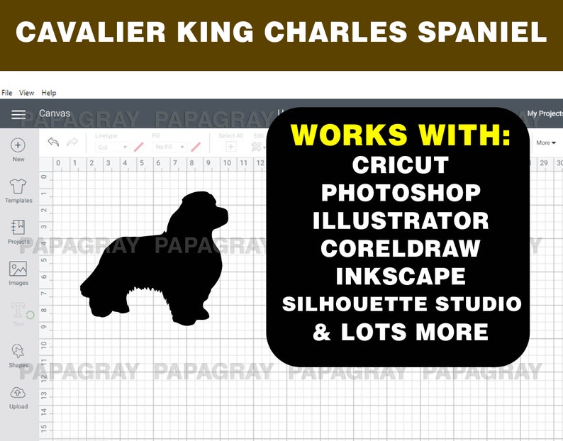 Digital Download 8 Designs Cavalier King Charles Spaniel Dog Silhouette Pack Cavalier King Charles Cavalier King Charles Spaniel SVG