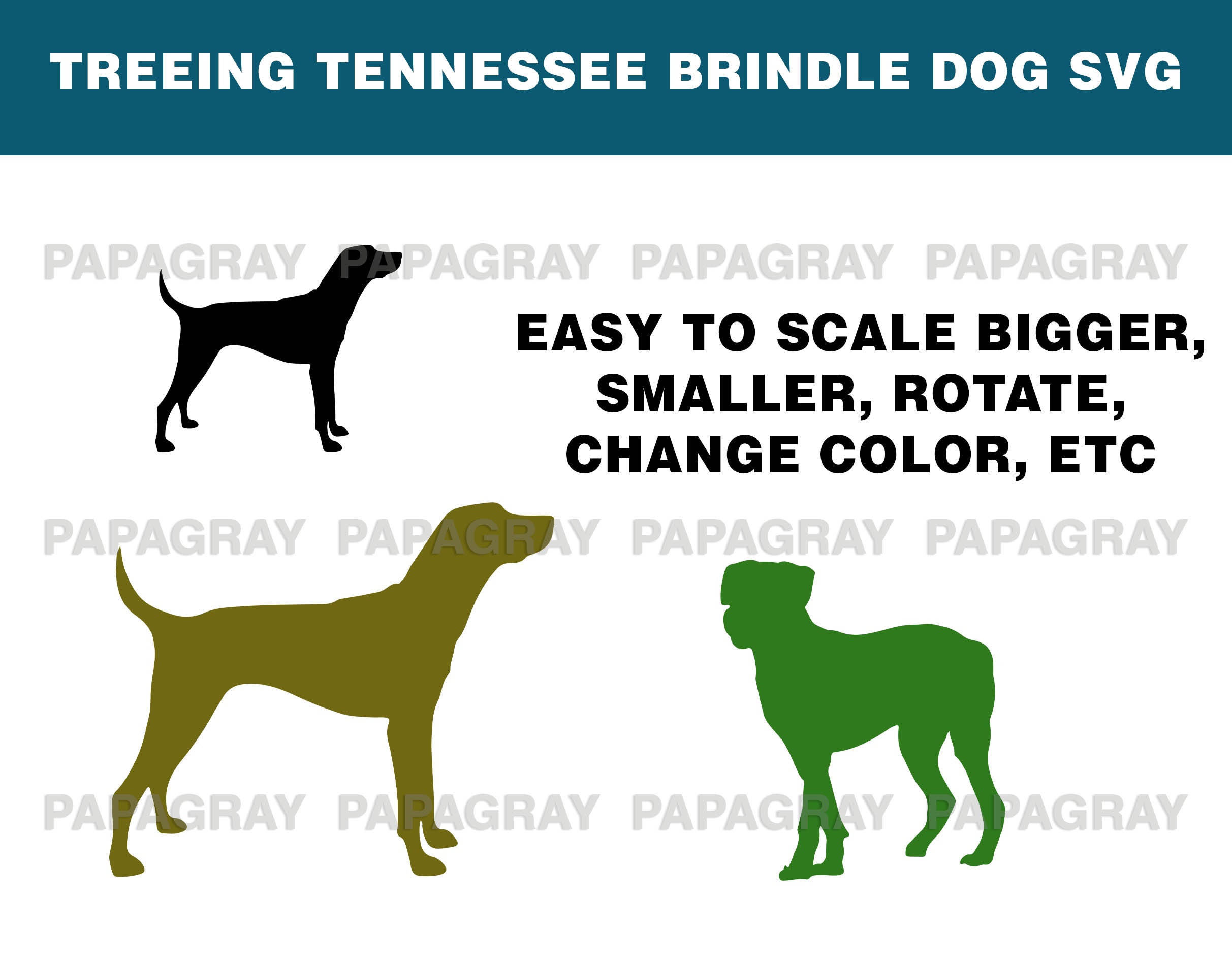 Do Brindle Dogs Change Color