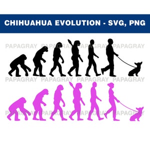 Chihuahua SVG Evolution | Digital Download | Chihuahua SVG, Chihuahua Dog PNG, Chihuahua Graphic, Chihuahua Shape, Chihuahua Cut File