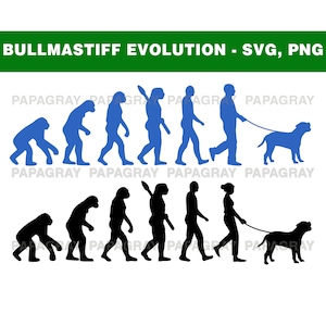 Bullmastiff Dog SVG Evolution | Digital Download | Bullmastiff SVG, Bullmastiff Dog PNG, Bullmastiff Graphic, Bullmastiff Shape Cut File