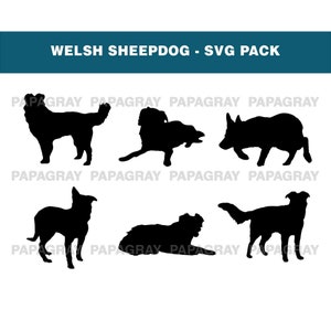 Welsh Sheepdog Silhouette Pack - 6 Designs | Digital Download | Welsh Sheepdog SVG, Farm Sheepdog PNG, Wales Sheepdog, Dog Cut File