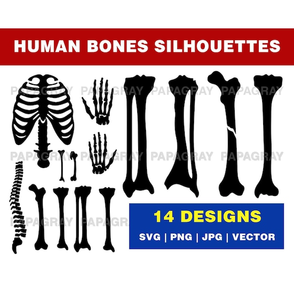 Human Bone Shape SVG Silhouette Pack - 14 Designs | Digital Download | Bone Shape PNG, Rib Cage Vector, Skeleton Graphic, Skeleton Bones SVG