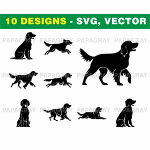 Ierse setter hond SVG-silhouetset - 10 ontwerpen | Digitale download | Ierse setter SVG, silhouet honden gesneden bestanden, Ierse setter clipart