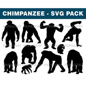 Pacchetto silhouette scimpanzé - 10 disegni / download digitale / scimpanzé SVG, scimpanzé PNG, vettore scimpanzé, grafica del file di taglio della grande scimmia