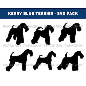Kerry Blue Terrier SVG Dog Silhouette Pack - 6 ontwerpen | Digitale download | Kerry Blue Terrier SVG, dieren gesneden bestanden, vectorafbeeldingen honden