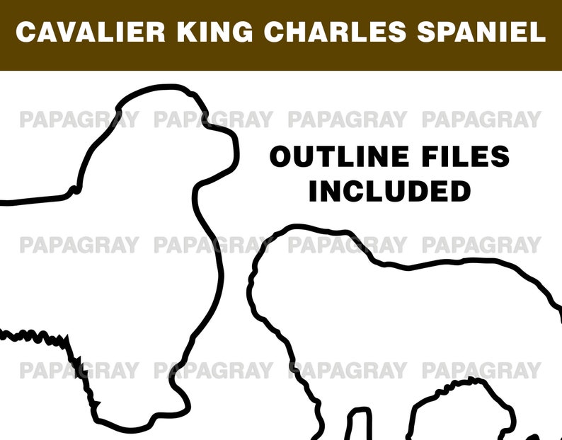 Digital Download 8 Designs Cavalier King Charles Spaniel Dog Silhouette Pack Cavalier King Charles Cavalier King Charles Spaniel SVG