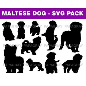 Maltese Dog Silhouette Pack - 10 Designs | Digital Download | Maltese Dog SVG, Maltese Canine PNG, Maltese Dog Vector, Maltese Dog Graphic