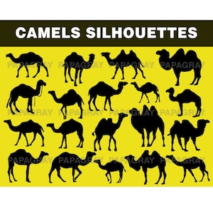 Camels Vector Pack - 20 Designs | Digital Download | Camels SVG, Camel Svg, Camels PNG, Safari, Egypt Camel, Desert Camel, Camel Vector