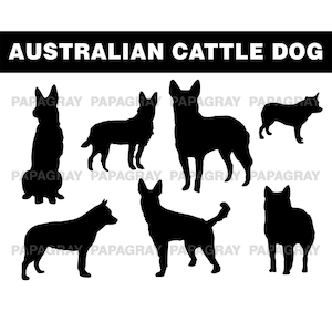 Australian Cattle Dog Silhouette Pack - 7 Designs | Digitaler Download | Australischer Rinderhund SVG, australischer Rinderhund PNG, australischer Hund