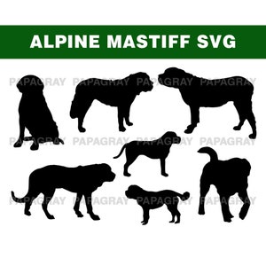 Alpine Mastiff Dog Silhouette Pack - 7 Designs | Digital Download | Alpine Mastiff Dog SVG, Alpine Mastiff SVG, Alpine Mastiff PNG Graphic