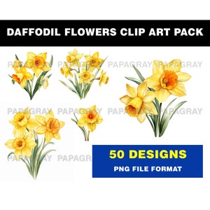 Daffodil Flowers Clip Art Mega Pack - 50 Designs | Digital Download | Daffodil Flower Clipart, Bouquet of Daffodils, Watercolour Clipart
