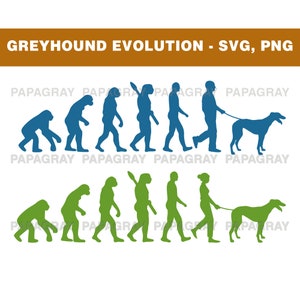 Greyhound SVG Evoluzione / Download digitale / Greyhound SVG, Greyhound Dog PNG, Grafica Greyhound, Forma di cane Greyhound, File di taglio Greyhound